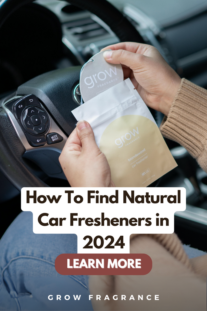 How To Find Natural Car Fresheners in 2024 Grow Fragrance