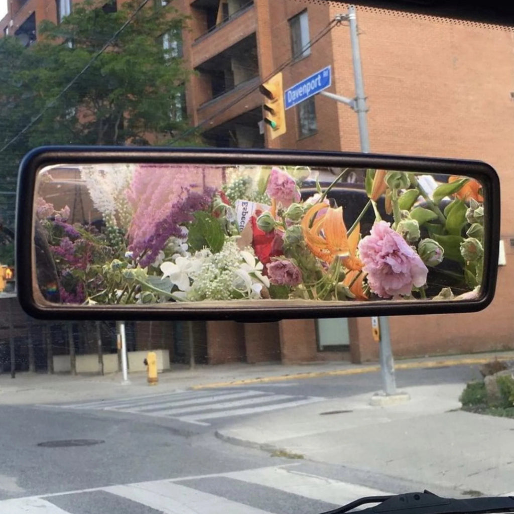 A Guide to the Best Natural Car Air Fresheners Grow Fragrance