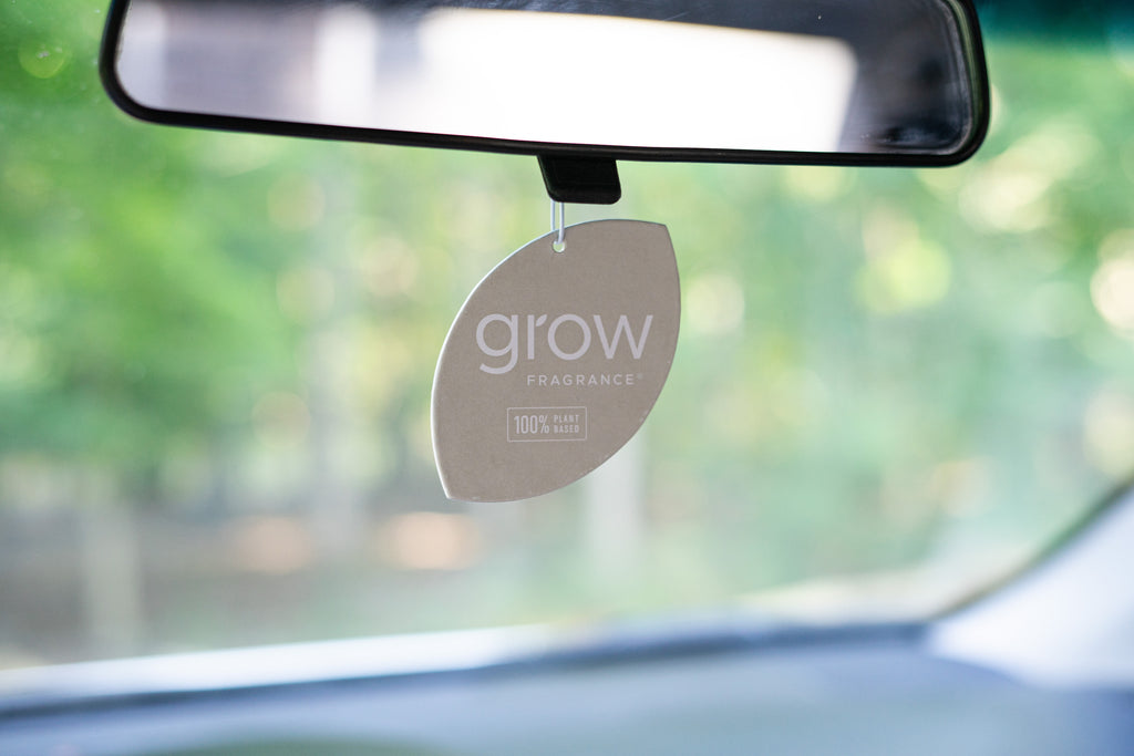 The Best NonToxic Car Air Freshener of 2024 Grow Fragrance