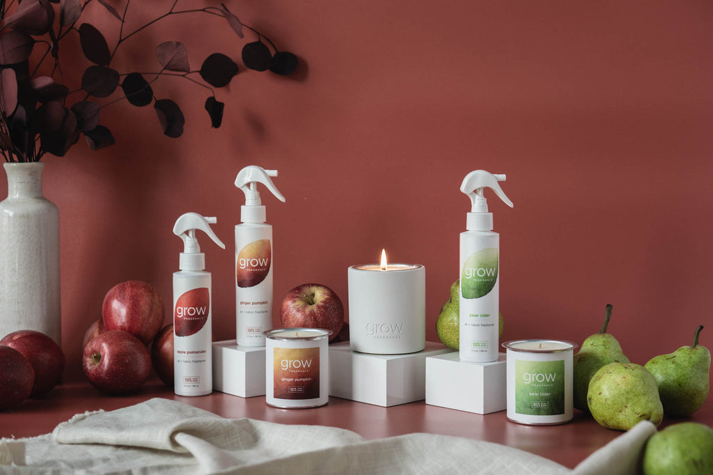 Best 4 NonToxic Fall Scents for a Cozier Home Grow Fragrance