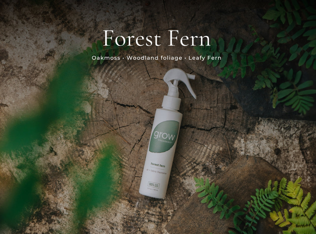 Fall Spray Set
