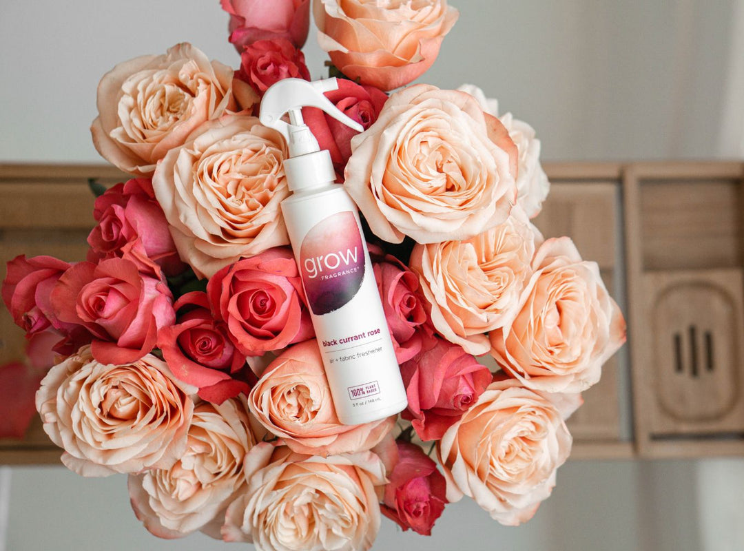 Black Currant Rose Air + Fabric Spray (featured)