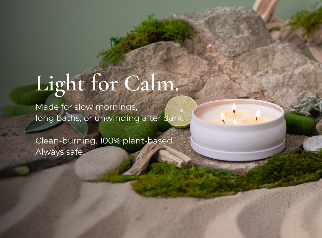 Pacific Driftwood 3-Wick Candle (featured)