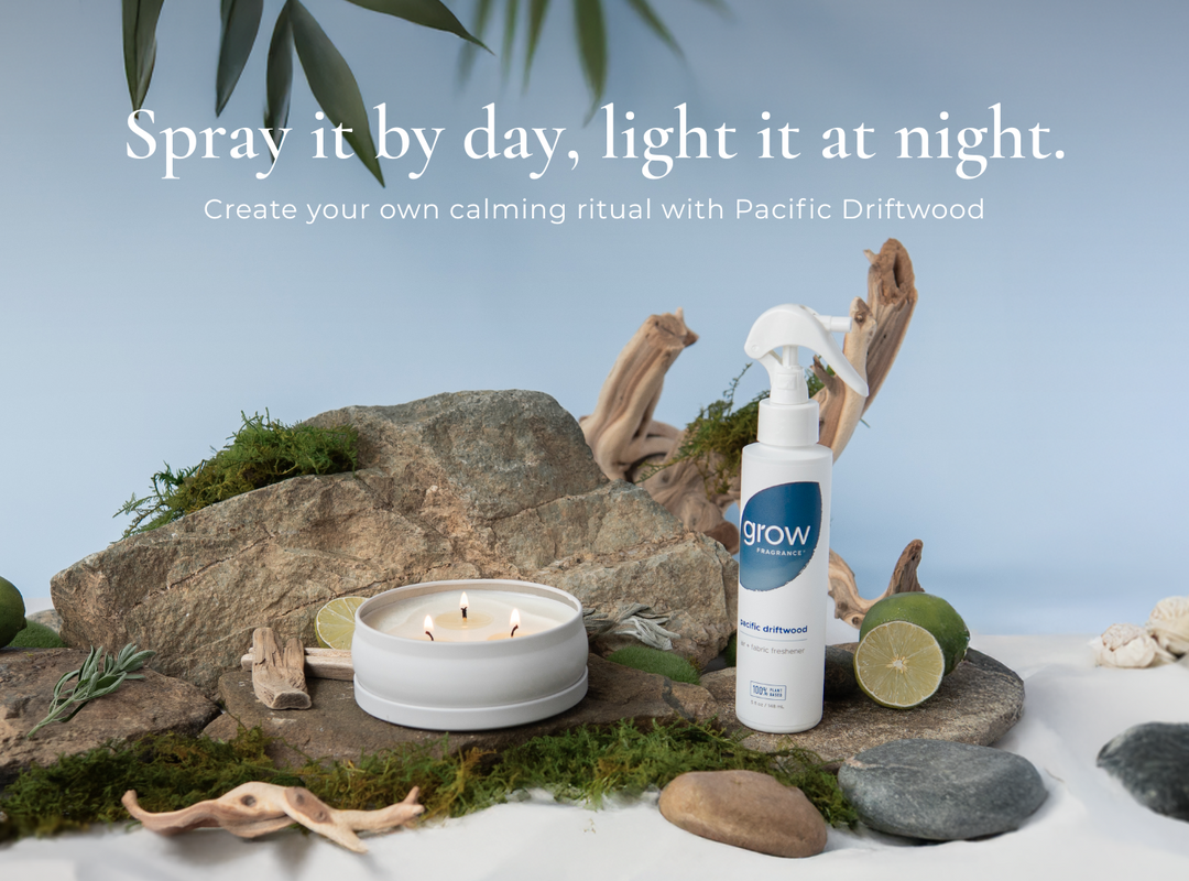 Pacific Driftwood 3-Wick Candle (featured)