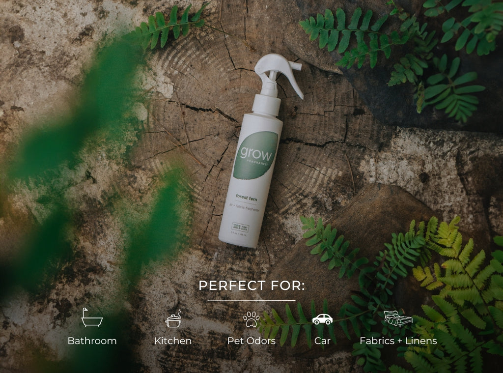 air plant fern Forest Fern Air + Fabric Spray – Grow Fragrance