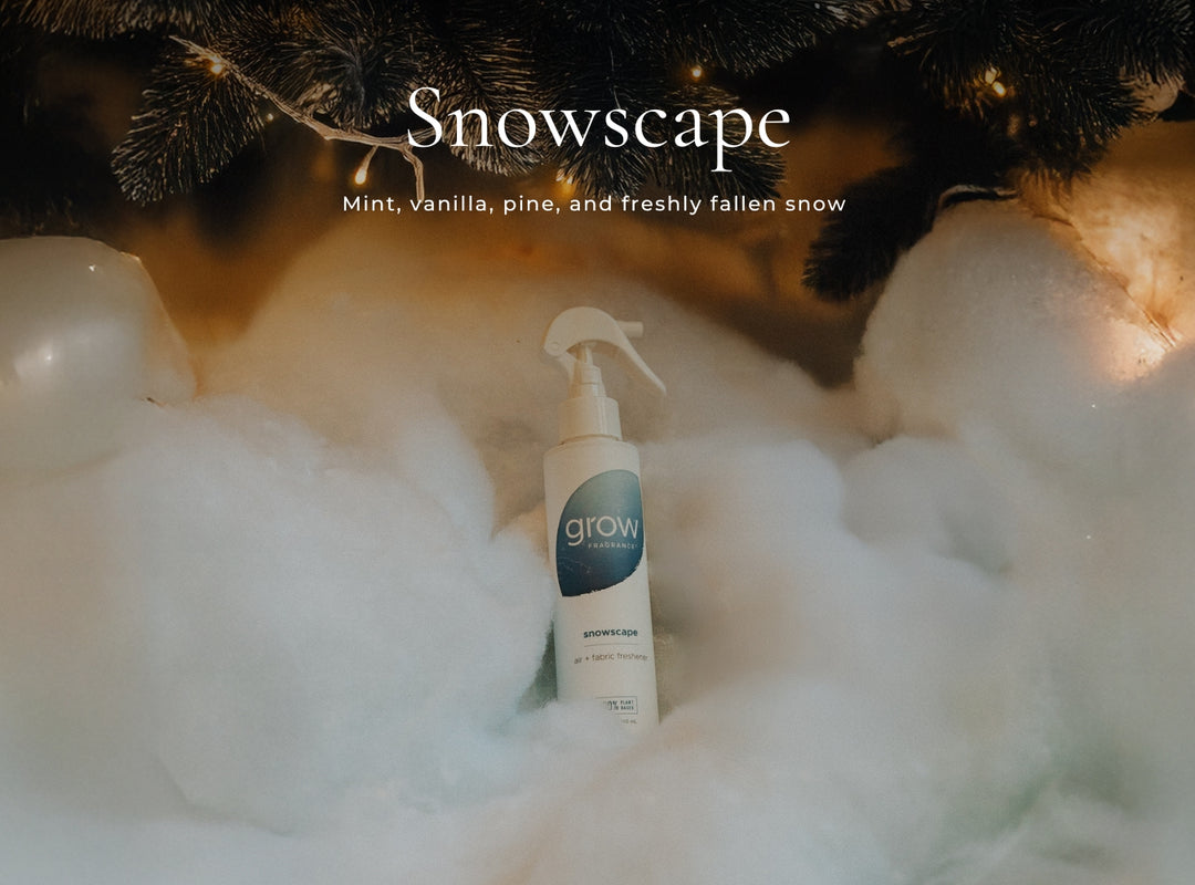 Non Toxic Holiday Spray Pack