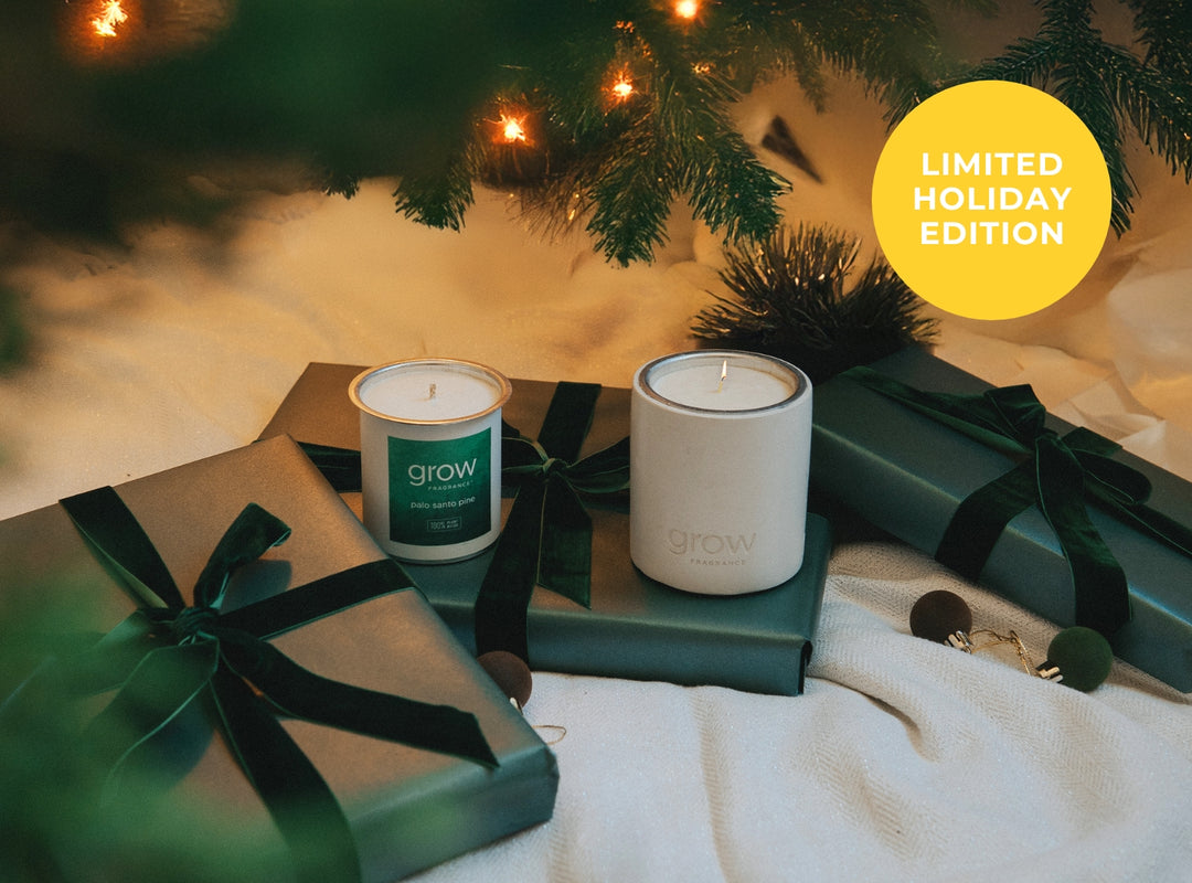 Palo Santo Pine Candle (featured)