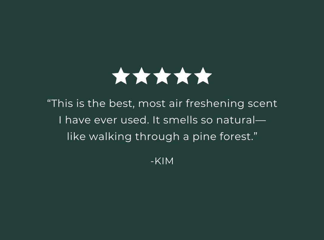 Pine Forest Air + Fabric Spray (featured)