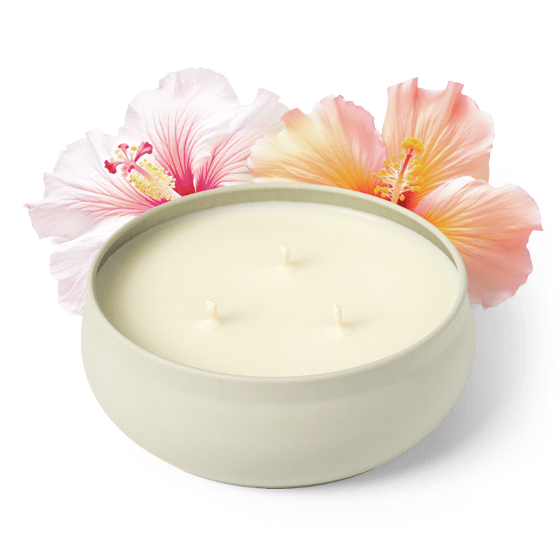 Hibiscus Tea 3-Wick Candle – Grow Fragrance