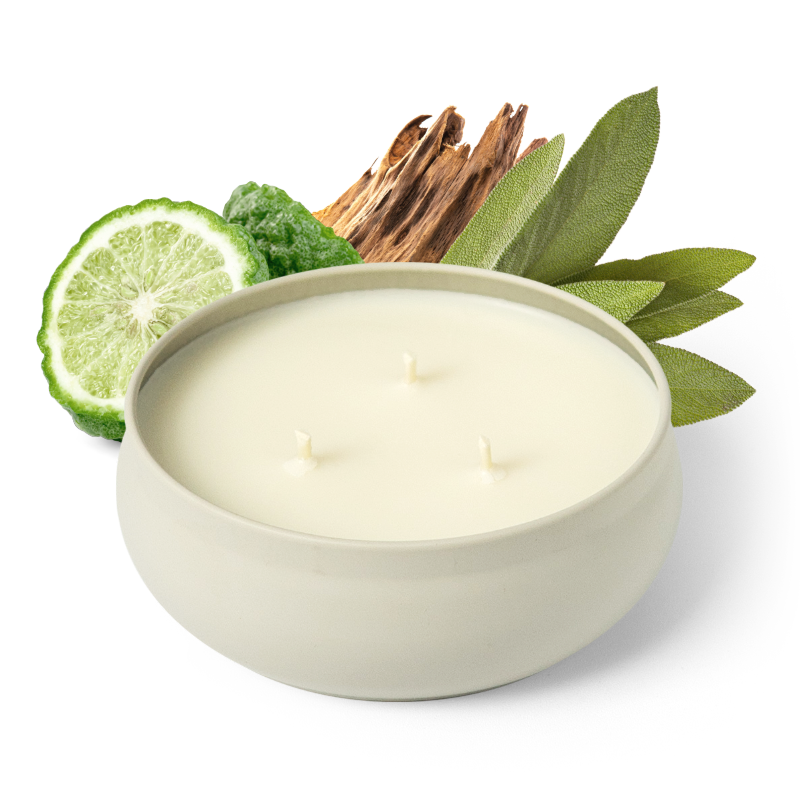 Pacific Driftwood 3-Wick Candle