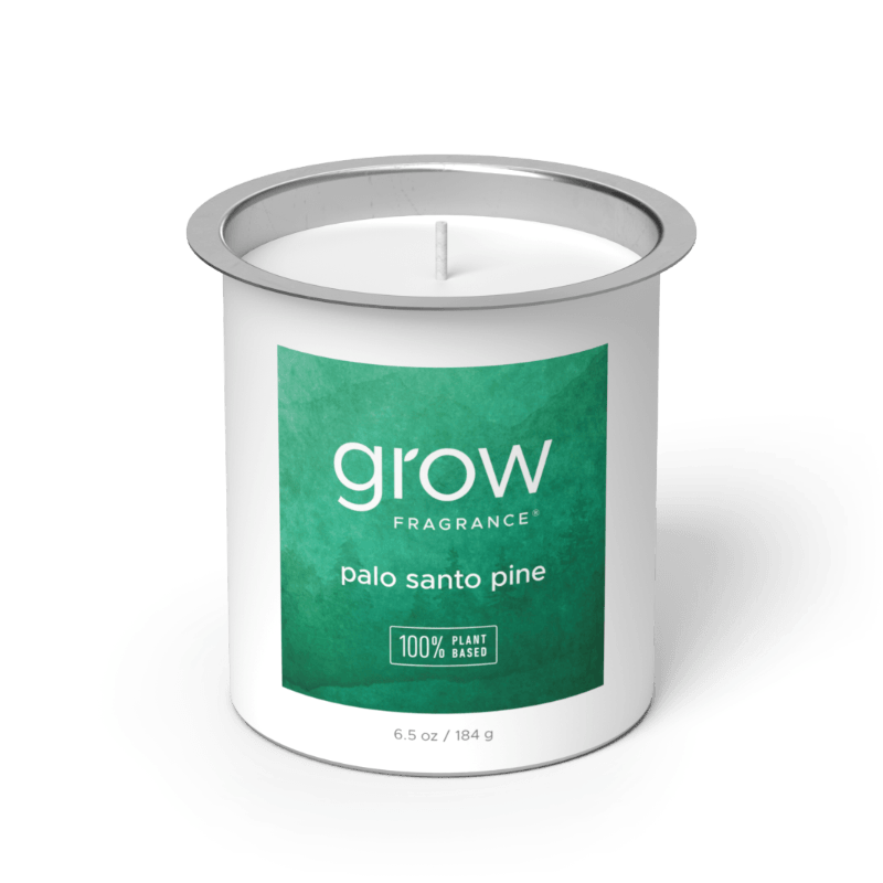 Palo Santo Pine Candle Refill
