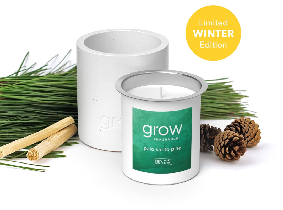 Palo Santo Pine Candle Set (featured)