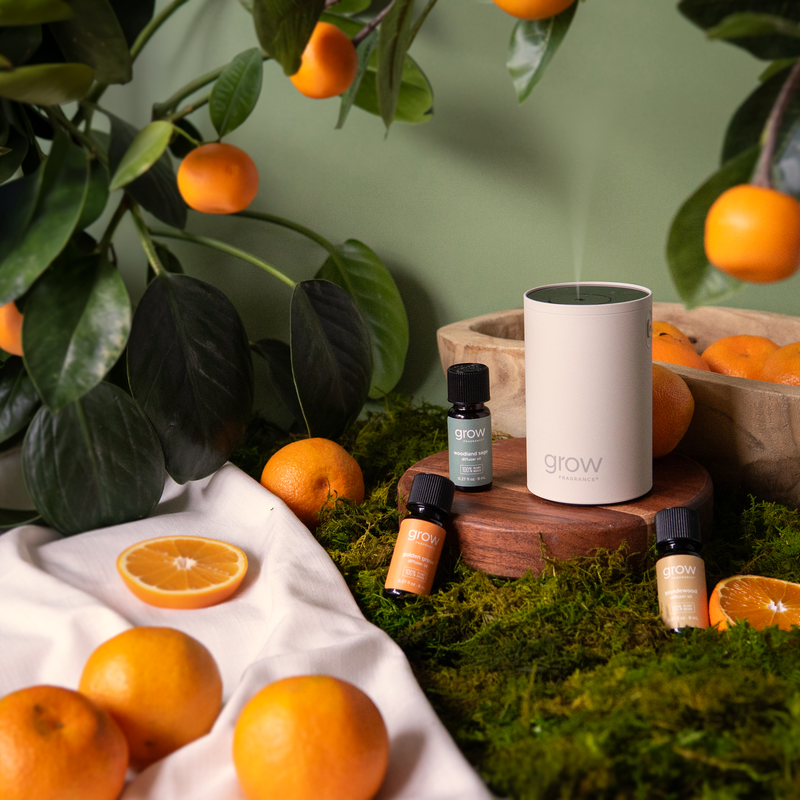 Diffuser Oils