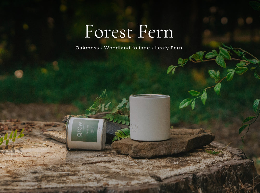 Fall Candle Set