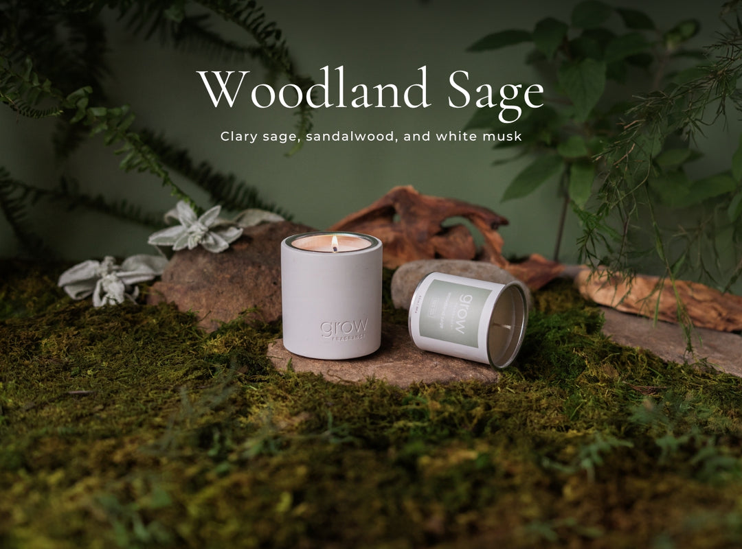 Bestsellers Candle Set