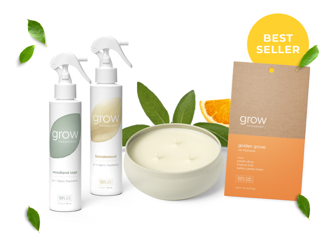 The Clean Start Kit