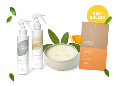 The Clean Start Kit