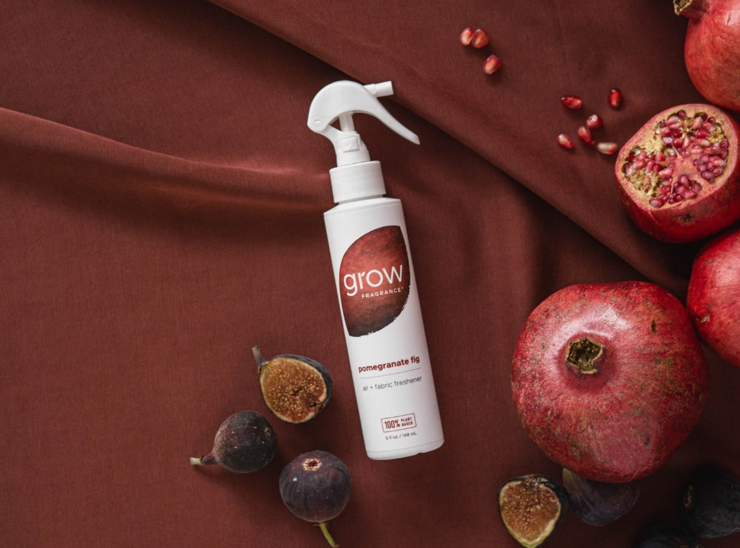 Pomegranate Fig Air + Fabric Spray (featured)