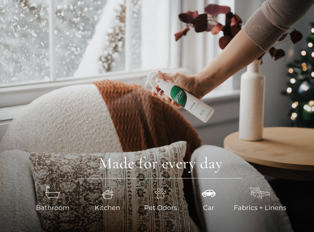 Non-Toxic Holiday Kit