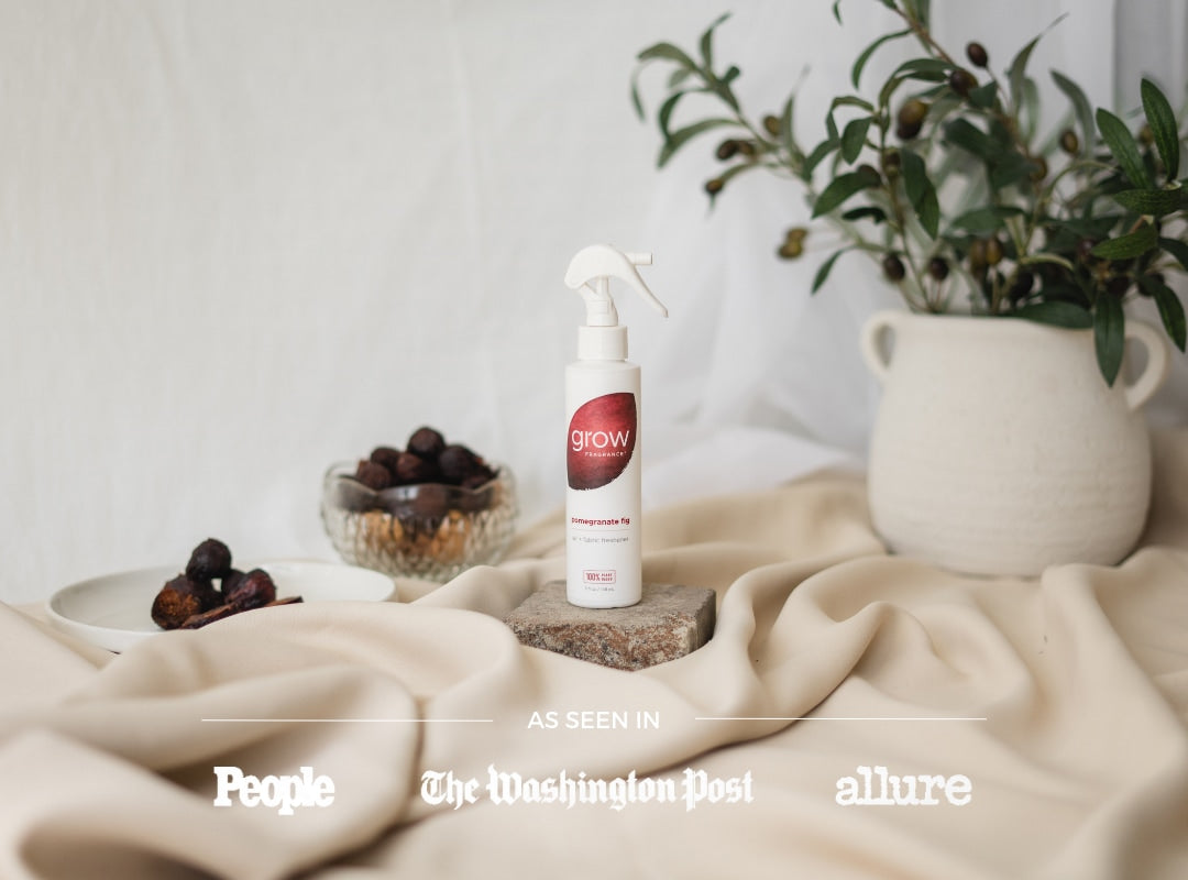 Pomegranate Fig Air + Fabric Spray (featured)