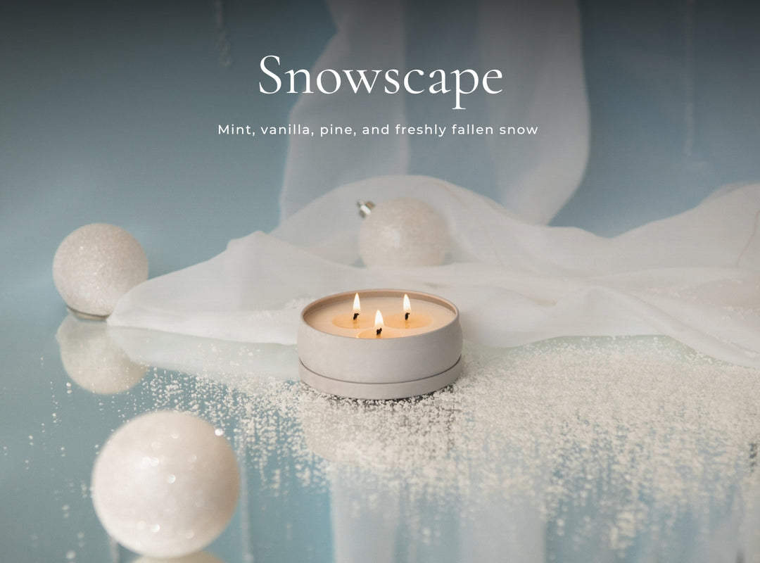 Non-Toxic Holiday Kit