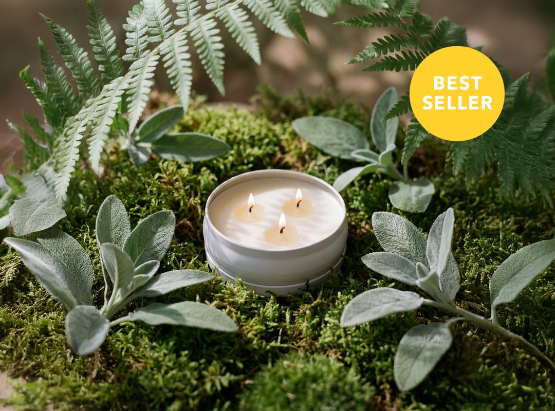 Woodland Sage Bundle