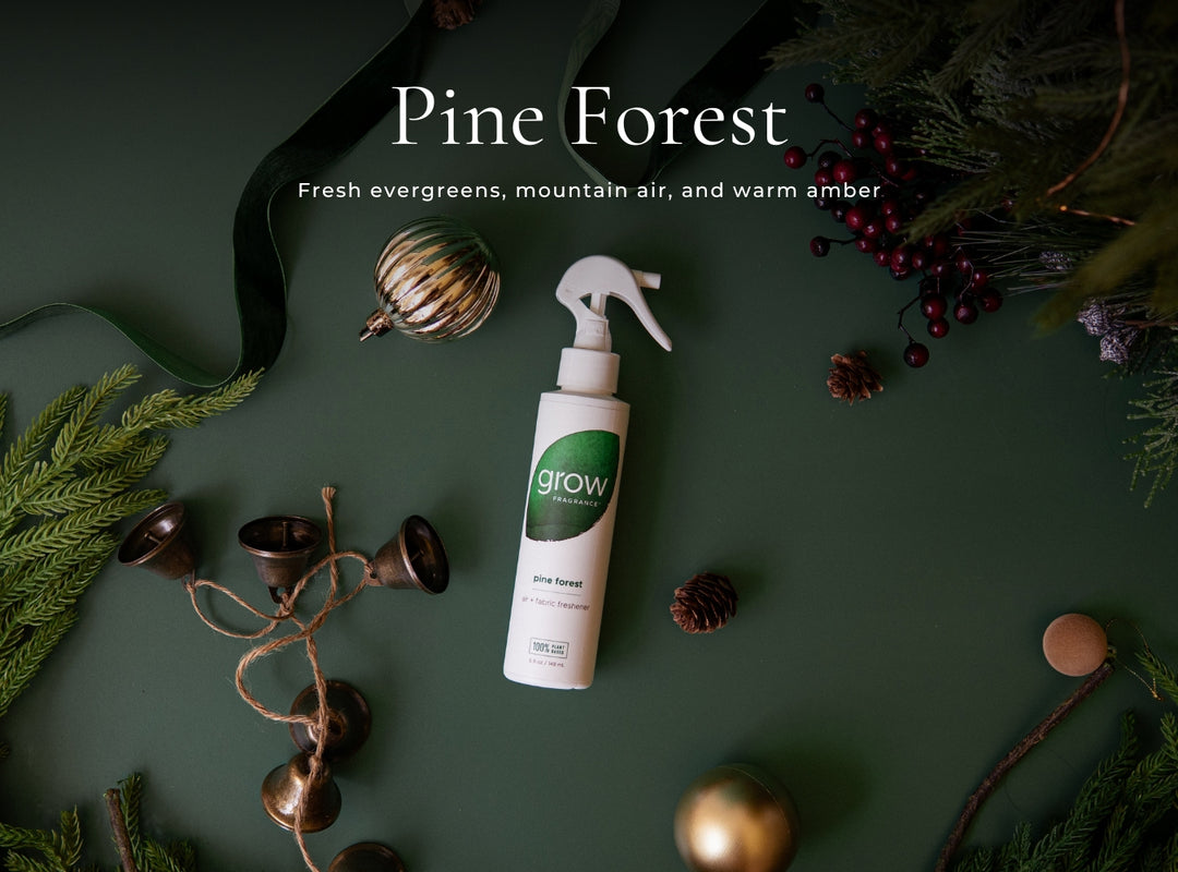 Non-Toxic Holiday Kit