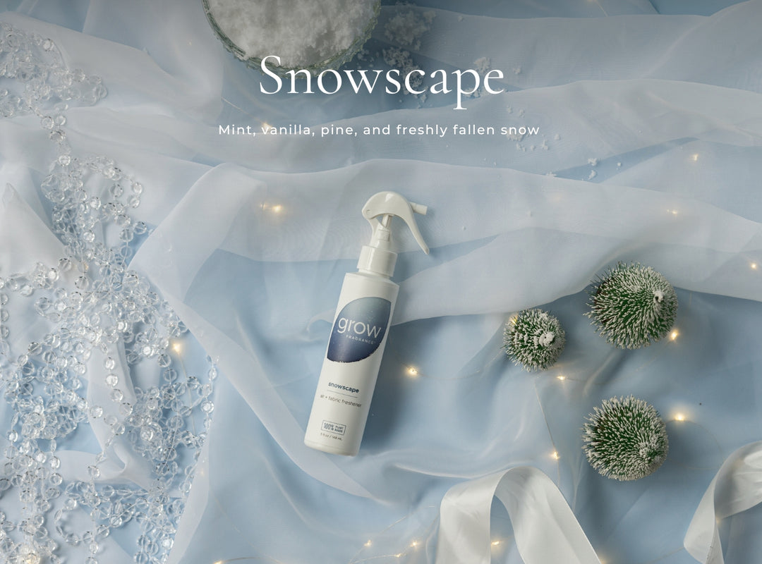 Non-Toxic Winter Kit