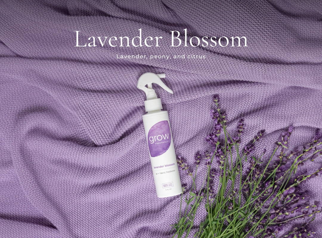 Bestsellers Spray Pack