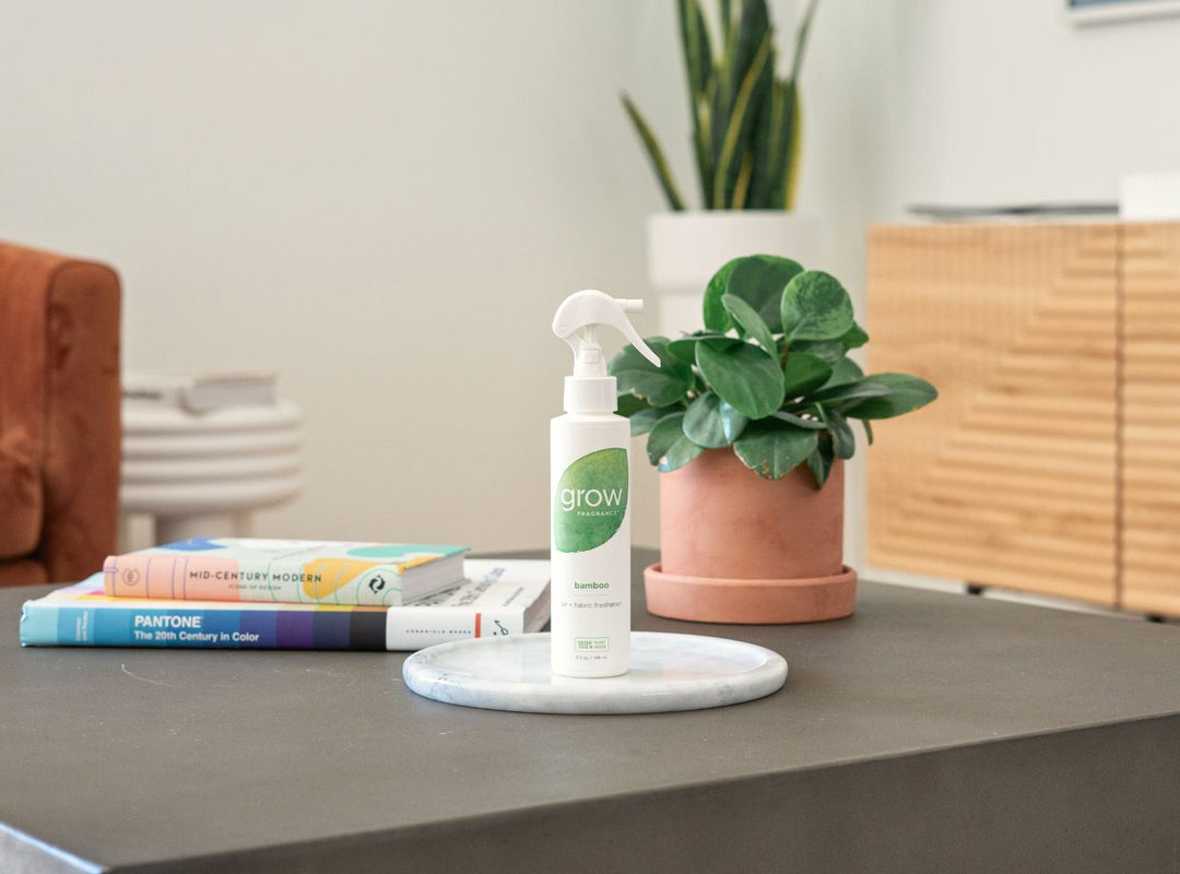 Bamboo Air + Fabric Spray lifestyle photo with books and green plant (featured)