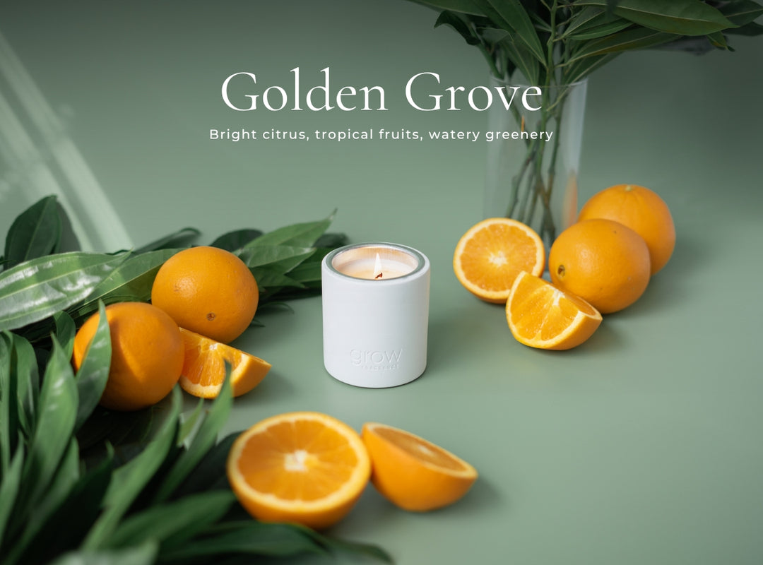 Bestsellers Candle Set