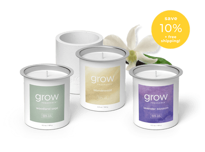 Bestsellers Candle Set