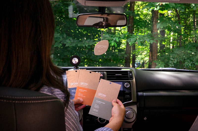 Person in a car holding Pacific Driftwood, Golden Grove, and Woodland Sage car freshener cards, with a Grow air freshener hanging from the rearview mirror