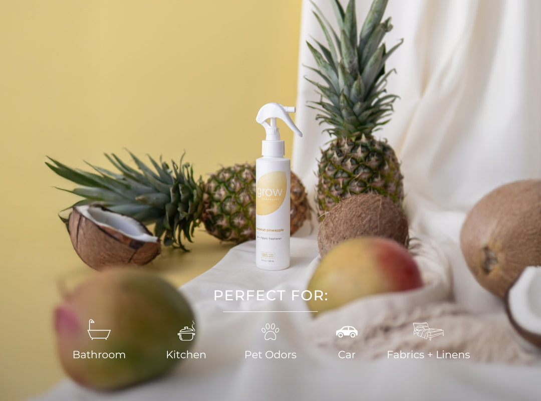 Coconut Pineapple Air + Fabric Spray (featured)
