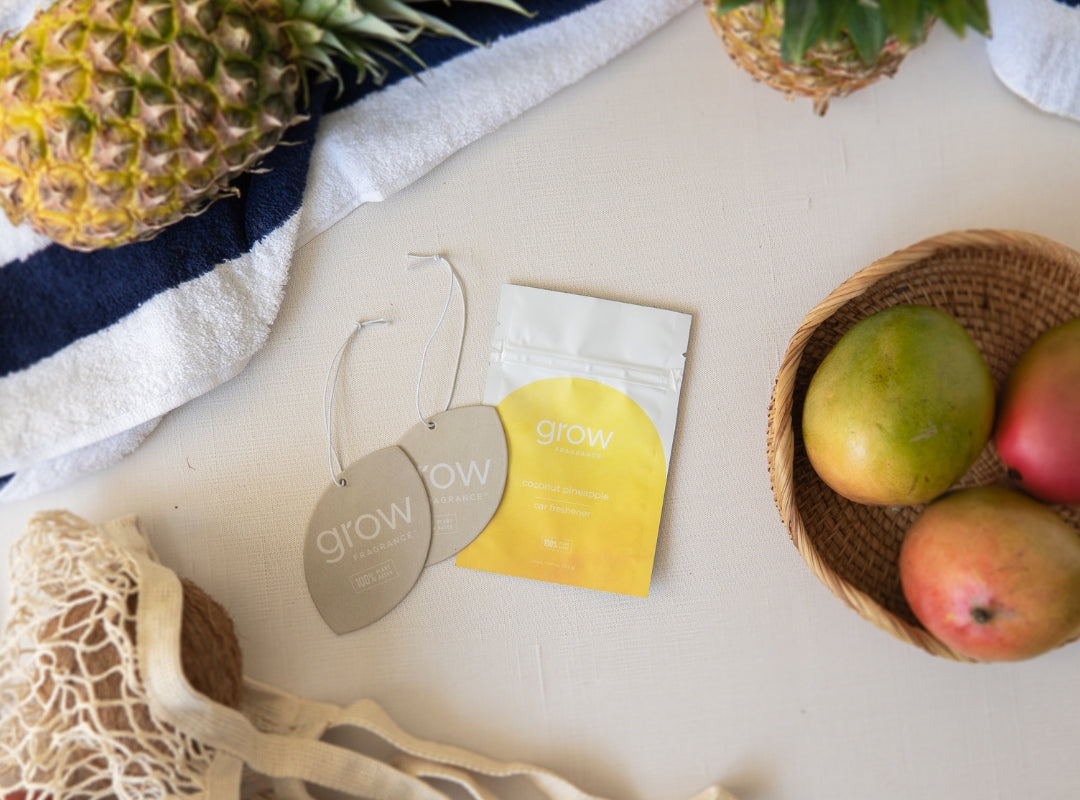 Coconut Pineapple Car Freshener (featured)