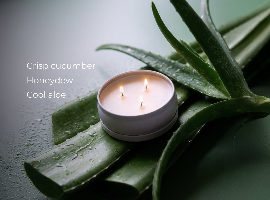 Cucumber Aloe 3 Wick Candle (featured)