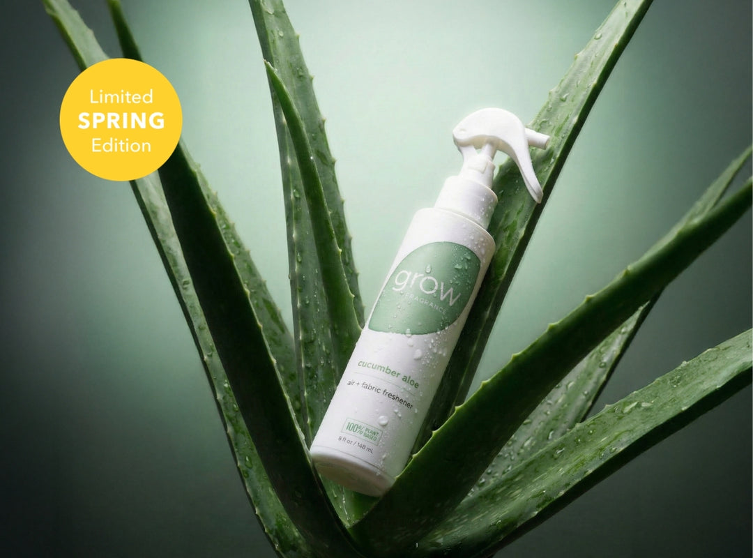 aloe vera plant spray Cucumber Aloe Air + Fabric Spray