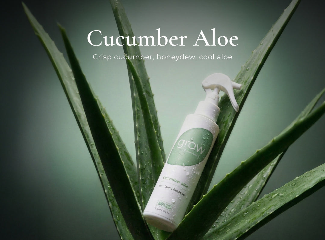 Grow cucumber aloe spray bottle on a green leaf background with text 'Cucumber Aloe'.