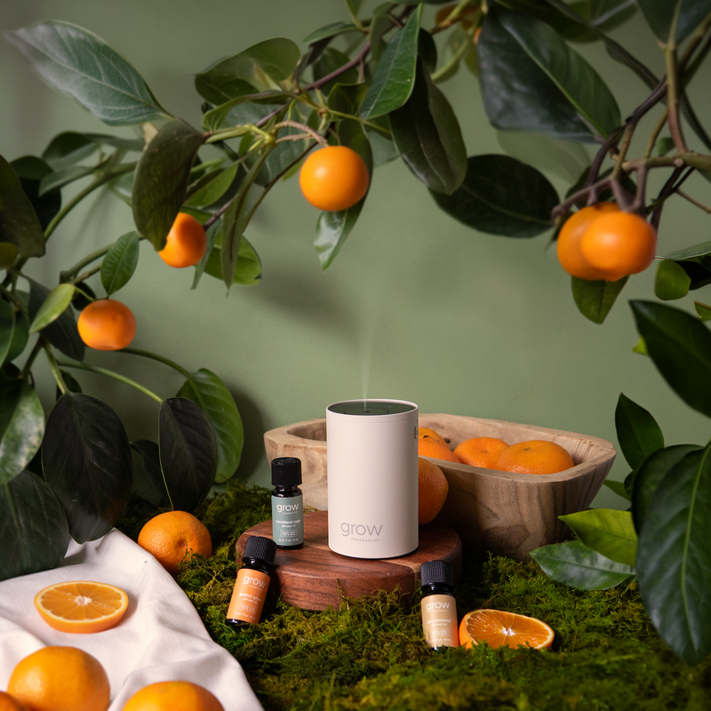 Make your home smell amazing in seconds