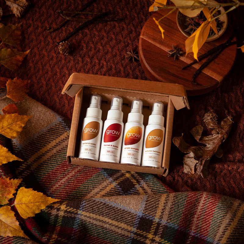 Let's find your perfect scent