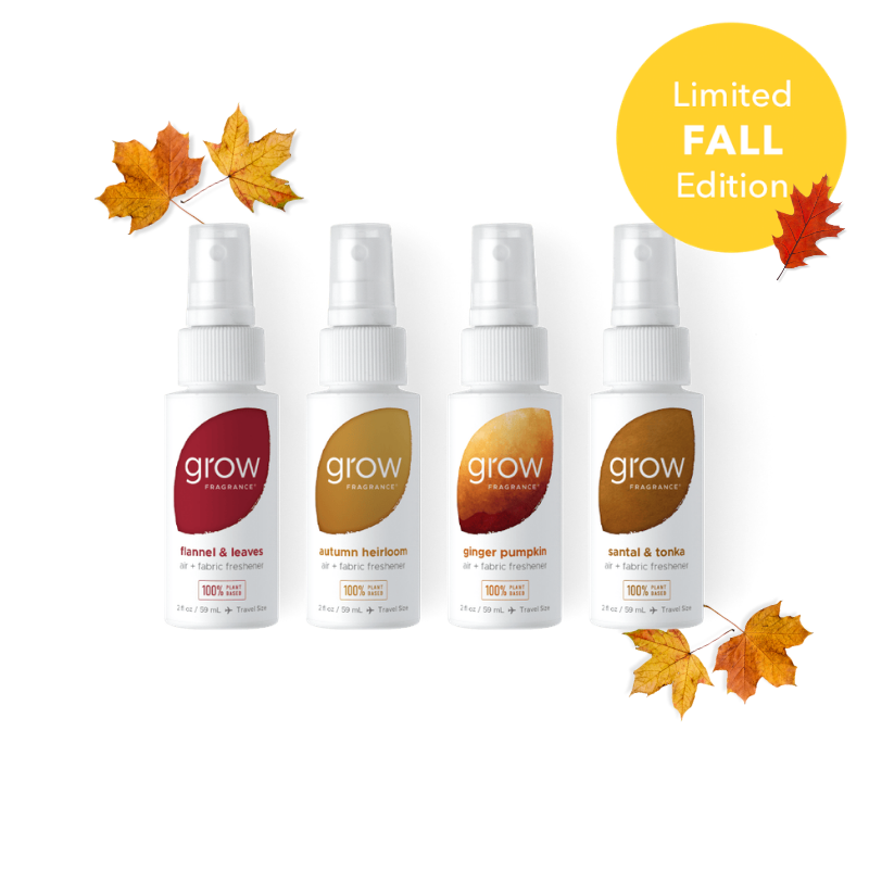 Fall Discovery Set