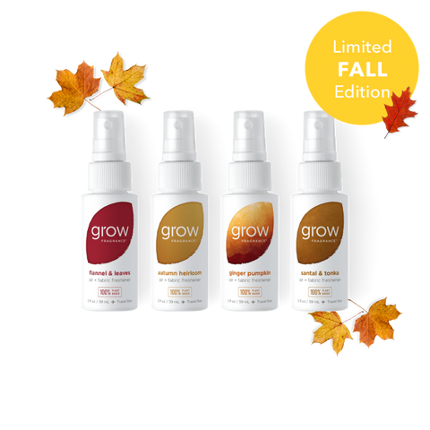 Fall Discovery Set