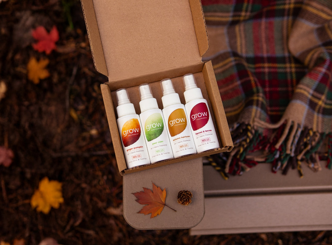 Fall Discovery Set (featured)