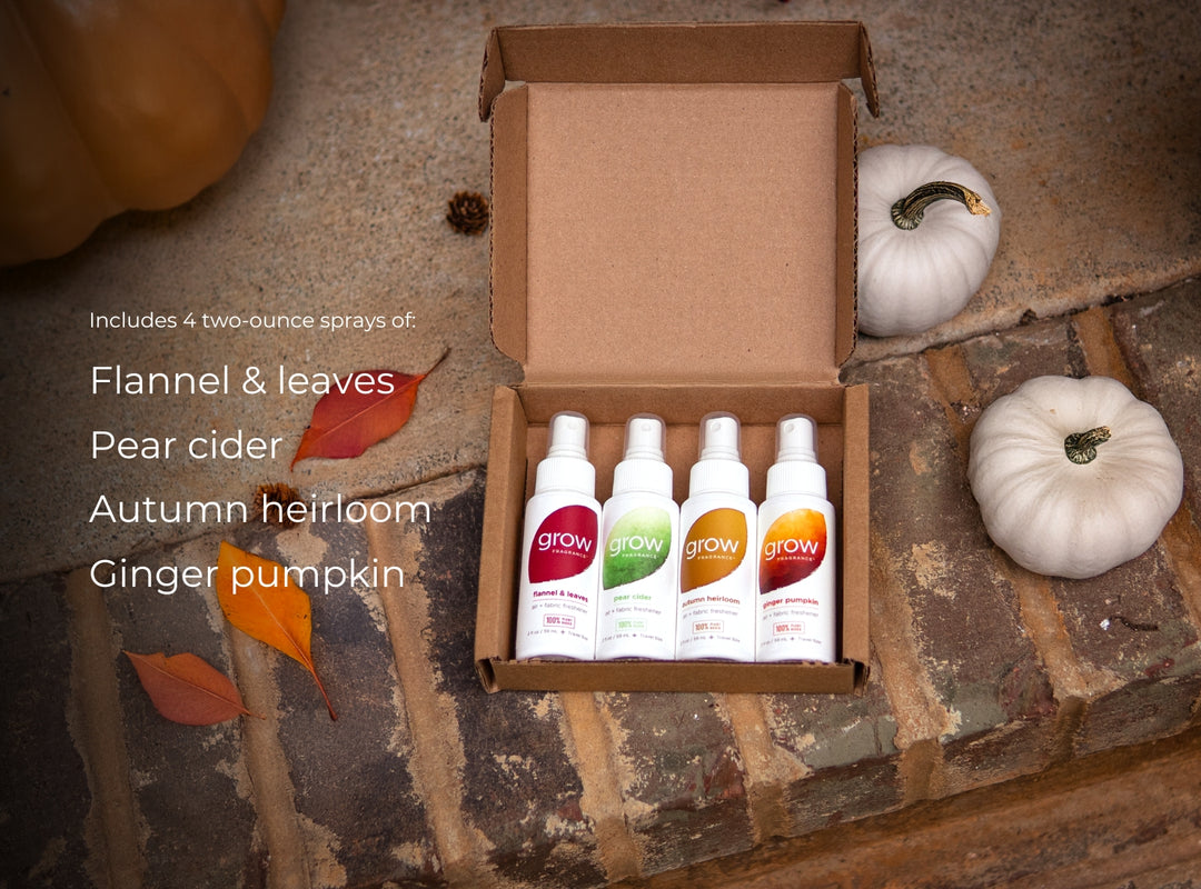 Fall Discovery Set (featured)