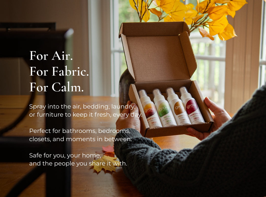 Fall Discovery Set (featured)