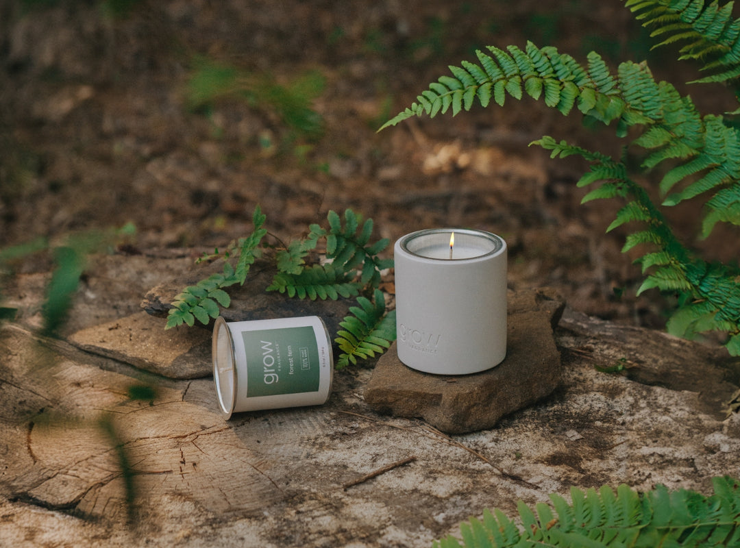Forest Fern Candle (featured)