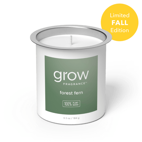 Forest Fern Candle Fragrance (featured)