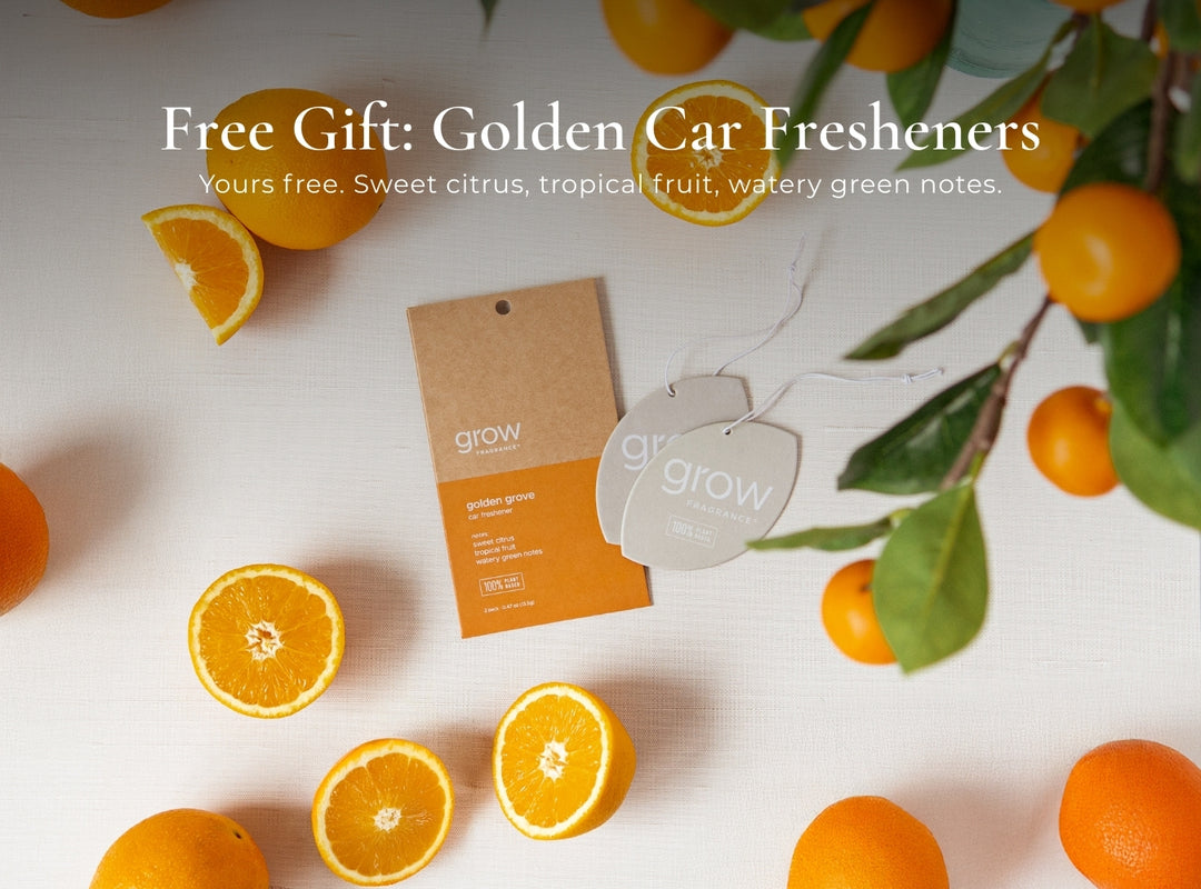 Free Gift: Golden Car Fresheners
