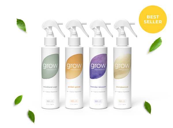 Bestsellers Spray Pack