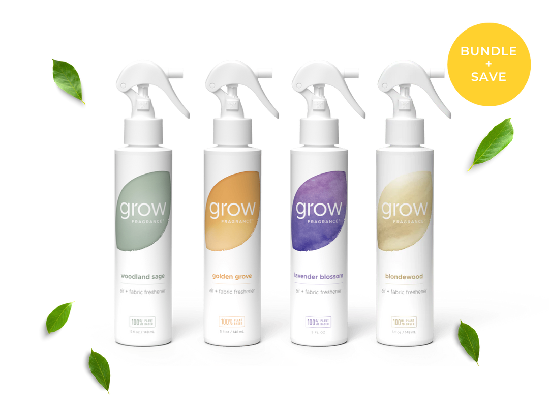 Bestsellers Spray Pack